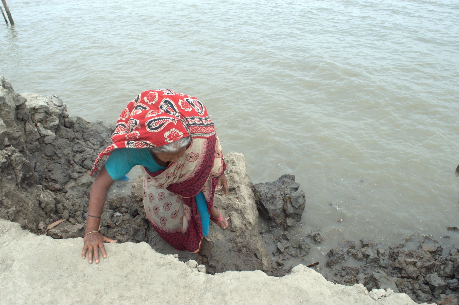 © Amrita Dasgupta. All rights reserved.